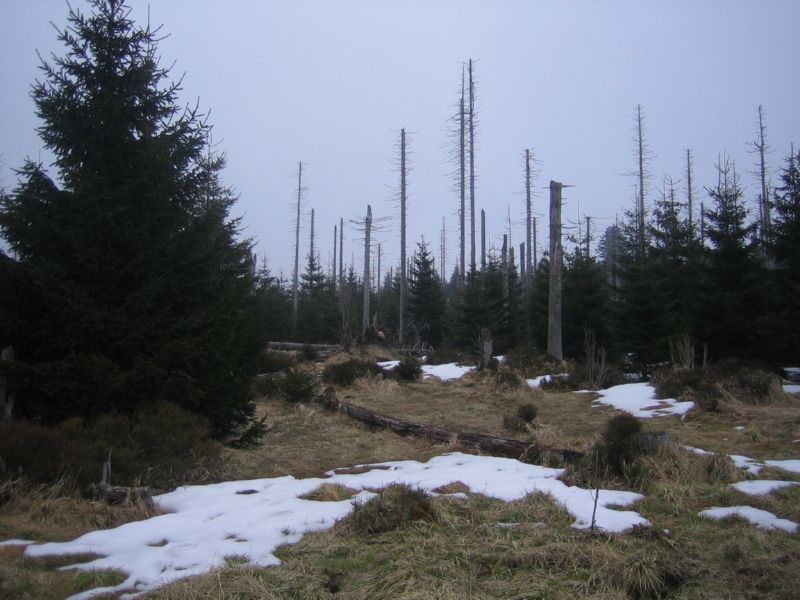 brocken (03) Saurer Regen oder Sturm